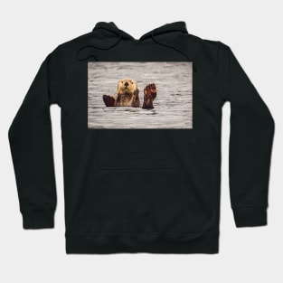 Sea Otter in Alaska Hoodie